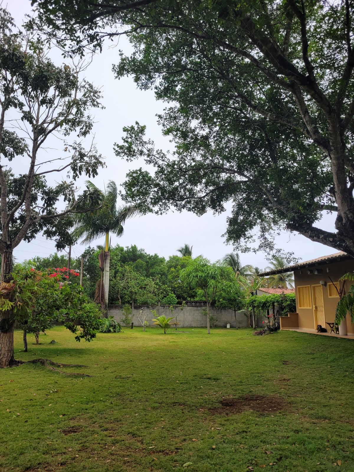 Área externa